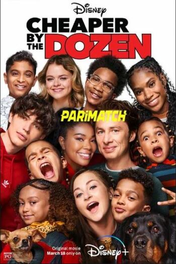 Cheaper by the Dozen movie dual audio download 720p