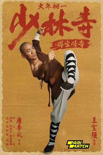 Rising Shaolin The Protector movie dual audio download 720p