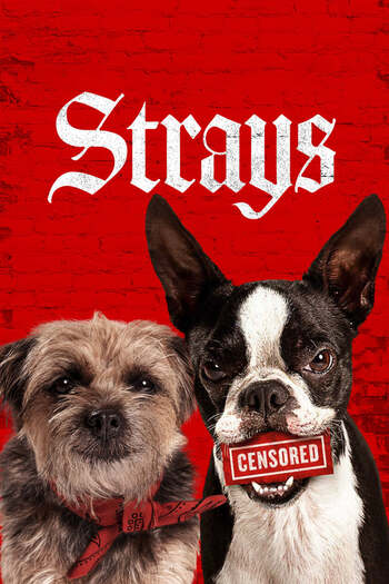 Strays movie english audio download 480p 720p 1080p