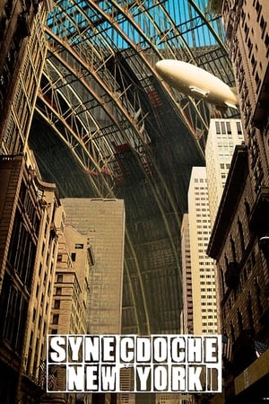 Synecdoche, New York movie english audio download 480p 720p 1080p