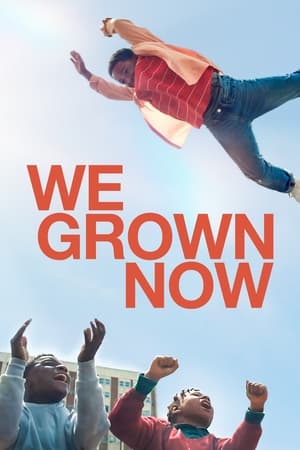 We Grown Now movie english audio download 480p 720p 1080p