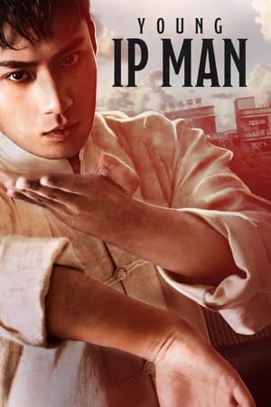 Young Ip Man Crisis Time movie dual audio download 480p 720p 1080p