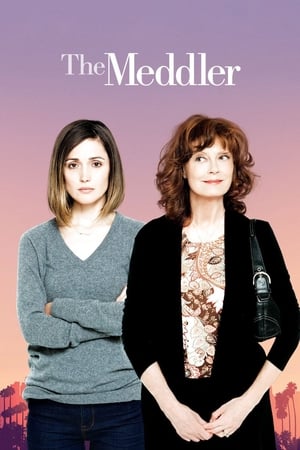 The Meddler movie dual audio download 480p 720p 1080p