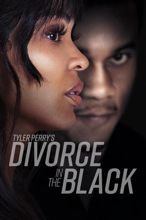 Tyler Perry's Divorce in the Black movie dual audio download 480p 720p 1080p